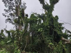 -海南热带野生动植物园