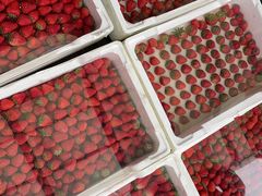 -西郊国际农产品交易中心