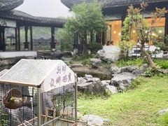 -日出青木
