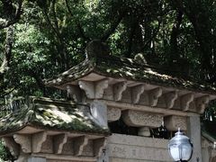 -峙山公园