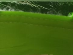 -奈雪的茶(中海环宇荟店)