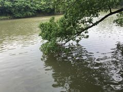 -范蠡湖公园