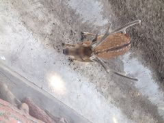 iphone_upload_pic-太原动物园