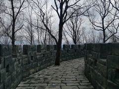 -塔云山