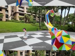 -海南清水湾莱佛士酒店