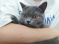 -九庄火锅(龙游店)