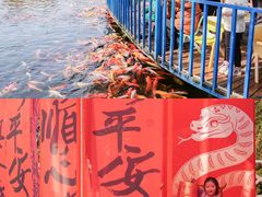 -南湖梦幻岛