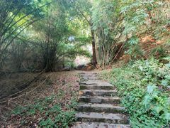 -黔灵山公园