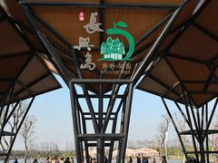 -上海长兴岛郊野公园