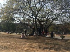 -南京市江宁方山