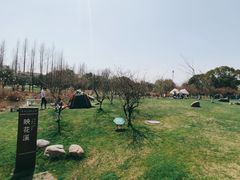 -长田漾湿地公园