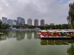 -团结湖公园
