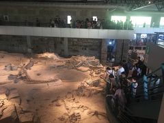 -自贡恐龙博物馆