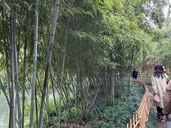 -西湖游船