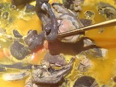 -Darling Queen·Mini·Live·House