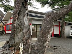 -富士山吉田線五合目