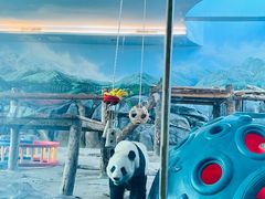 -武汉动物园
