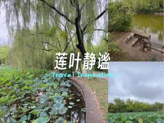 -南翠屏公园