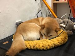 -About Bistro關於·泰式家庭料理