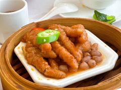 -泉龙渔村·粤式早茶·金牌烧鹅(中山三乡店)