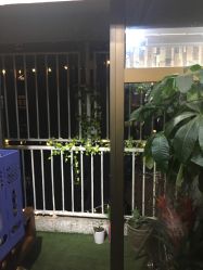 -施华蔻美发连锁