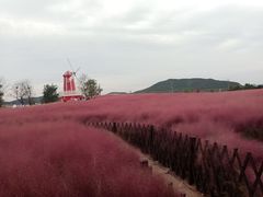 -羊亭河湿地公园