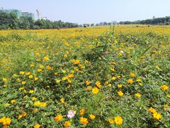 -苏州吴中太湖旅游区