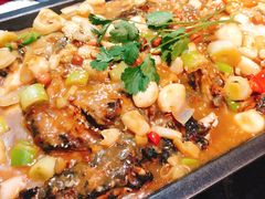 -晓鲜熊猫烤鱼烤吧(西三旗百汇北门店)