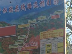 -广东天露山旅游度假区