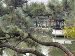 -上海醉白池公园
