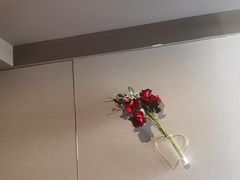 -陆琴脚艺·足浴·SPA(中华路店)