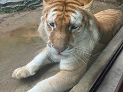 -杭州野生动物世界