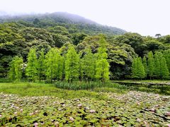 -广州市石门国家森林公园