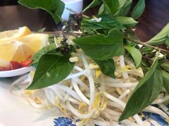 -鸿记越南牛鸡粉
