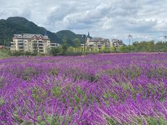 -云漫湖生态度假公园