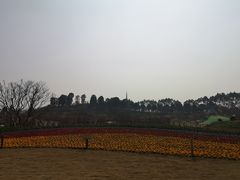 -秀丽东方
