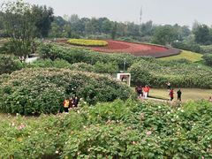 -天府芙蓉园