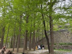 -阳台山自然风景区