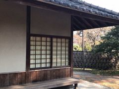 -名古屋城
