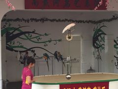 -南戴河国际娱乐中心