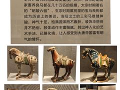 -洛阳博物馆