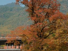 -塔川景区