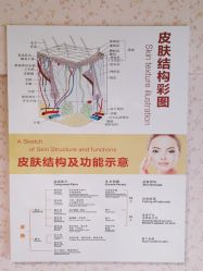 -柒朵科技美肤中心