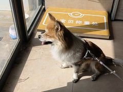 -艾贝尔宠物医院·狂犬免疫点(江山金象城店)