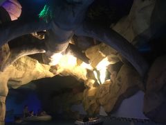 -重庆海昌加勒比海水世界