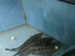 -湘芙蓉·湖南菜(椒江店)