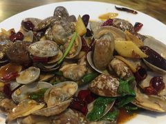 -杨氏青龙虾·羊蝎子(托乐嘉店)