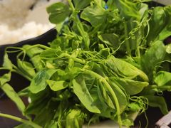 -老房老舍重庆火锅(假日城市店)
