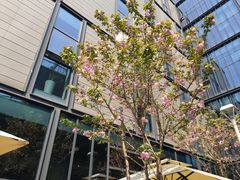 景观位-麦田工坊(月湖店)