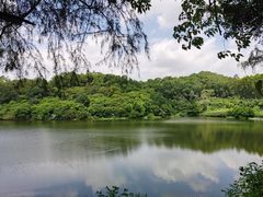 -火炉山森林公园